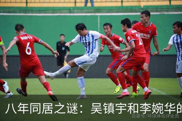 八年同居之谜：吴镇宇和李婉华的爱情故事