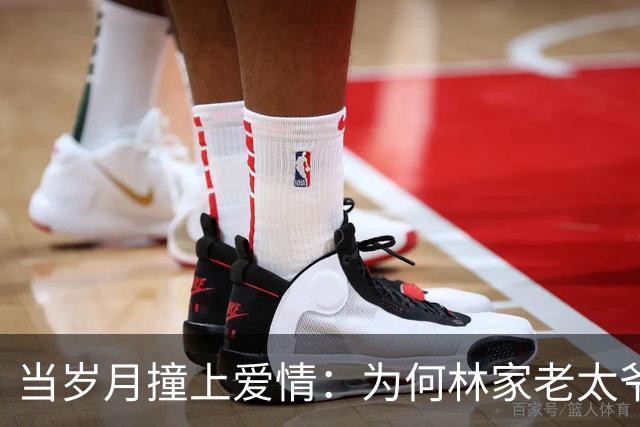 当岁月撞上爱情：为何林家老太爷对谢昭大加赞赏？