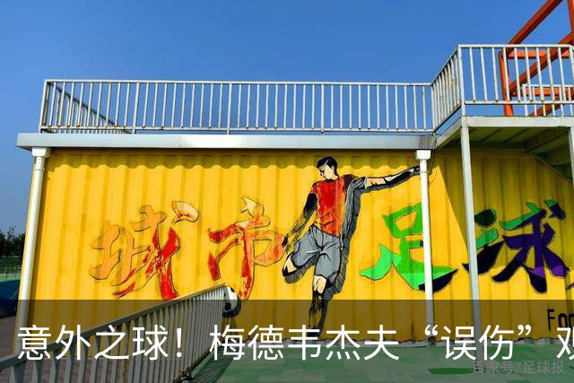 意外之球！梅德韦杰夫“误伤”观众 德约科维奇顺利晋级决赛